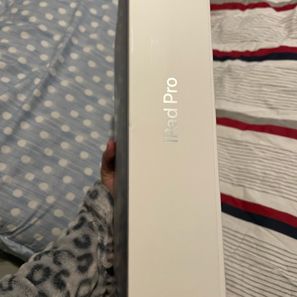 iPad Pro